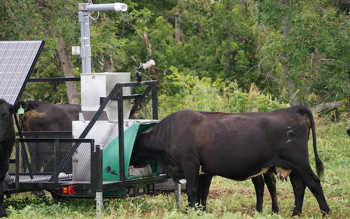 GreenFeed Pasture System