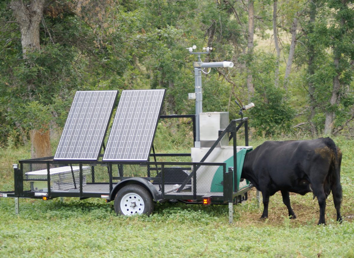 Green Feed Pasture System